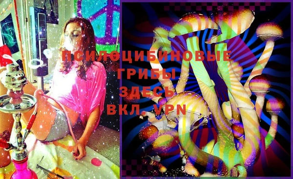 таблы Алзамай